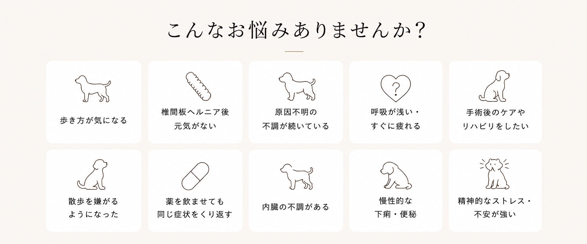愛犬のお悩みチェック
