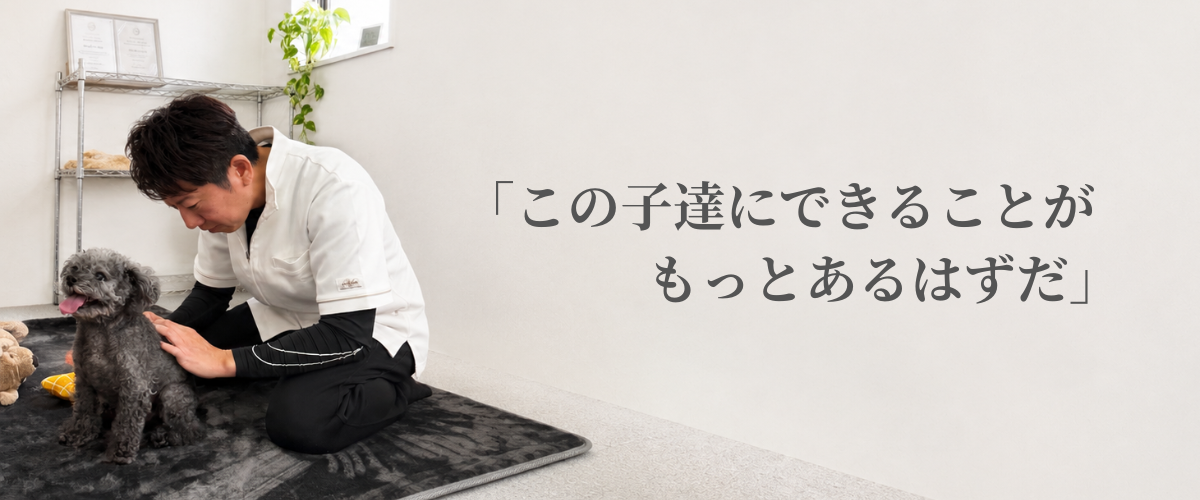 この子たちにもっとできることがあるはずだ