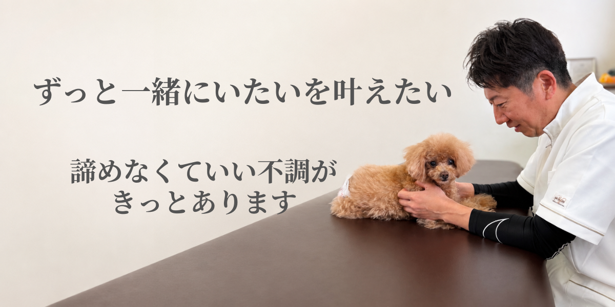 ドッグオステオパシー