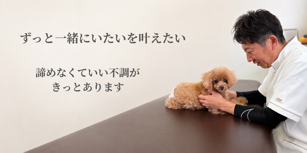 ドッグオステオパシー
