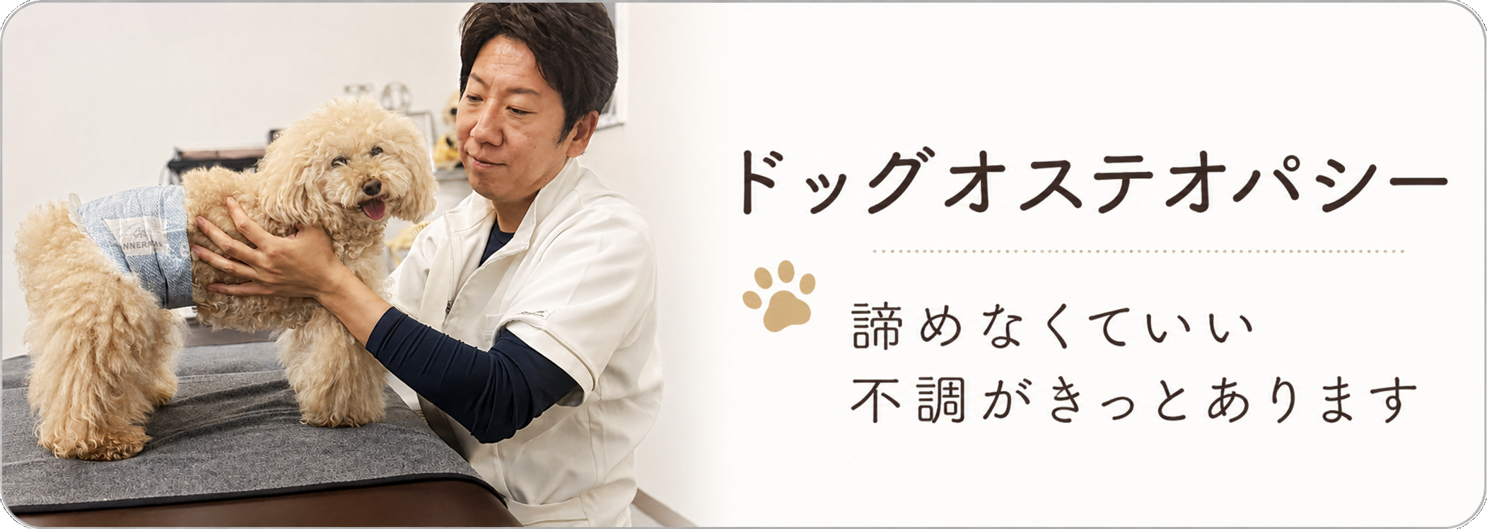 ドッグオステオパシー